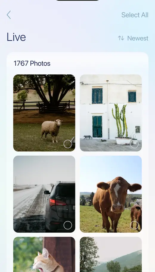The Live screen in Sanary: a grid of Live Photos with selection circles, headed 1767 Photos.